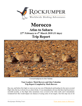 Morocco Atlas to Sahara 22Nd February to 4Th March 2018 (11 Days) Trip Report