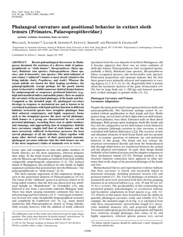 Phalangeal Curvature and Positional Behavior in Extinct Sloth Lemurs (Primates, Palaeopropithecidae) (Primate Evolution͞locomotion͞bone Curvature)