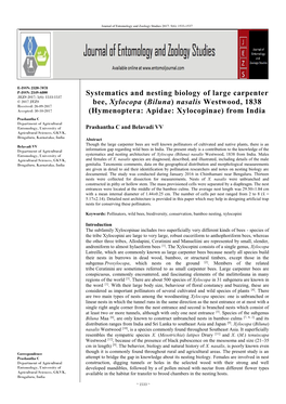 Systematics and Nesting Biology of Large Carpenter Bee, Xylocopa