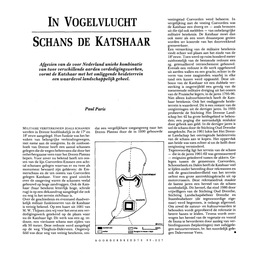 In Vogelvlucht Schans De Katshaar