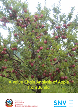A Value Chain Analysis of Apple from Jumla