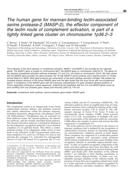 The Human Gene for Mannan-Binding Lectin-Associated Serine