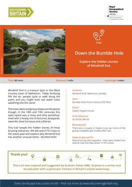 Down the Bumble Hole