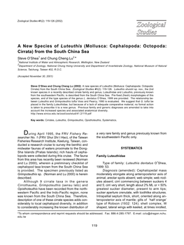 (Mollusca: Cephalopoda: Octopoda: Cirrata) from the South China