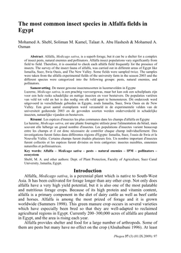 The Most Common Insect Species in Alfalfa Fields in Egypt