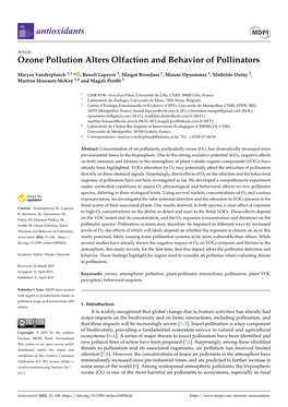 Ozone Pollution Alters Olfaction and Behavior of Pollinators