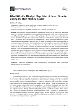 What Kills the Hindgut Flagellates of Lower Termites During the Host Molting Cycle?