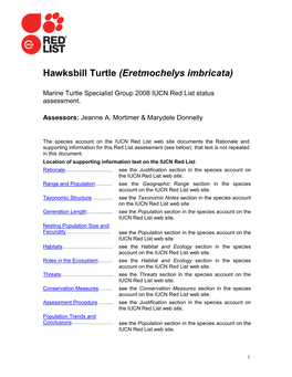 Hawksbill Turtle (Eretmochelys Imbricata)