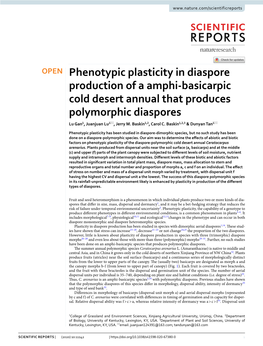 Phenotypic Plasticity in Diaspore Production of a Amphi-Basicarpic