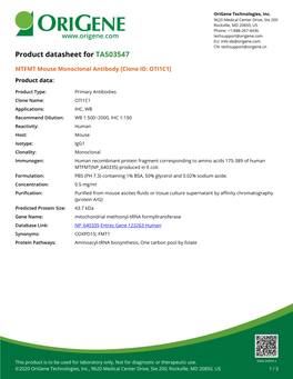 MTFMT Mouse Monoclonal Antibody [Clone ID: OTI1C1] – TA503547