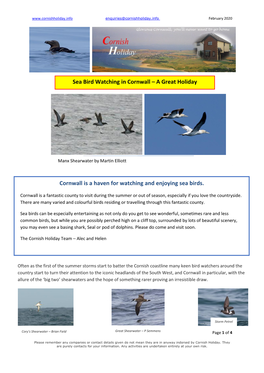 Sea Birdwatching Newsletter