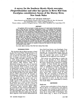 A Survey for the Southern Myotis Myotis Macropus (Vespertilionidae