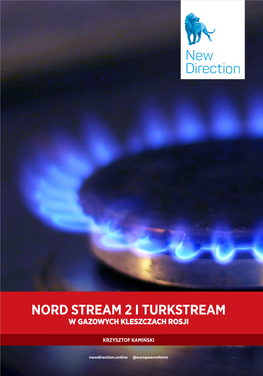 Nord Stream 2 I Turkstream. W Gazowych Kleszczach Rosji