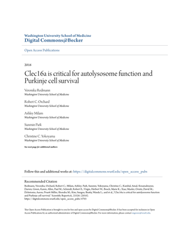 Clec16a Is Critical for Autolysosome Function and Purkinje Cell Survival Veronika Redmann Washington University School of Medicine