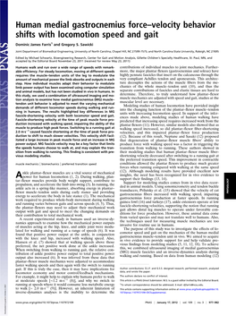 Human Medial Gastrocnemius Force–Velocity Behavior Shifts with Locomotion Speed and Gait