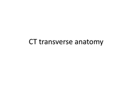 CT Transverse Anatomy