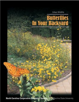 Butterflies in Your Backyard 3 to Eat