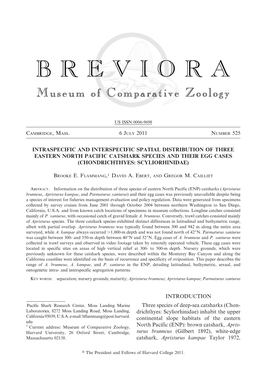 Intraspecific and Interspecific Spatial Distribution of Three Eastern North Pacific Catshark Species and Their Egg Cases (Chondrichthyes: Scyliorhinidae)