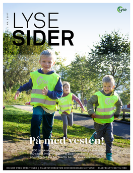 Lyse Sider No. 2 2017