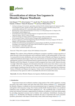 Diversification of African Tree Legumes in Miombo–Mopane