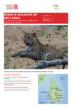 Birds & Wildlife of Sri Lanka