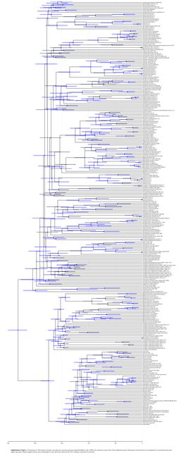 Supplementary Figure 1. Chronogram of 308 Archaeal, Bacterial