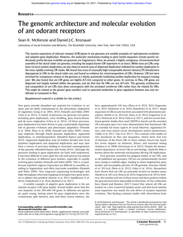 The Genomic Architecture and Molecular Evolution of Ant Odorant Receptors