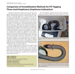 Comparison of Immobilization Methods for PIT Tagging Three-Toed Amphiuma (Amphiuma Tridactylum)