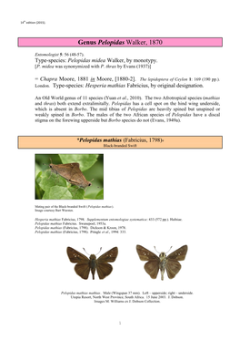 378 Genus Pelopidas Walker