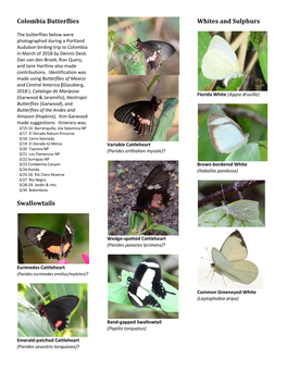 Colombia Butterflies Swallowtails Whites And