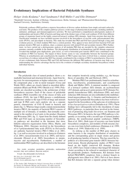 Evolutionary Implications of Bacterial Polyketide Synthases