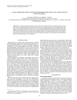 A New Sebecosuchian Crocodyliform from the Late Cretaceous of Patagonia