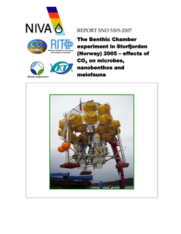 Effects of CO2 on Microbes, Nanobenthos and Meiofauna