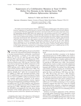 Suppressors of a Cold-Sensitive Mutation in Yeast U4 RNA Define