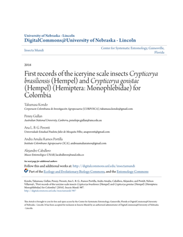 First Records of the Iceryine Scale Insects