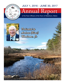 2017 Town Report