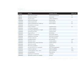 APPENDIX 1. Plant Species Recorded in the Ballona Valley Region