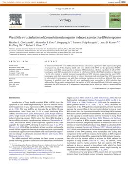 West Nile Virus Infection of Drosophila Melanogaster Induces a Protective Rnai Response