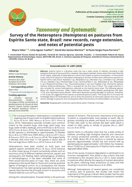 Hemiptera) on Pastures from Espírito Santo State, Brazil: New Records, Range Extension, and Notes of Potential Pests