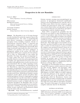 Perspectives in the New Russulales