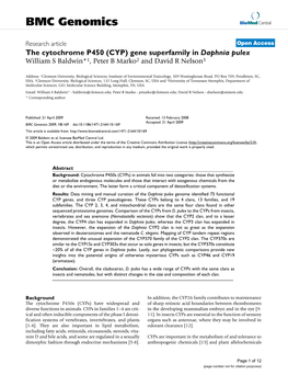 The Cytochrome P450 (CYP) Gene Superfamily in Daphnia Pulex William S Baldwin*1, Peter B Marko2 and David R Nelson3