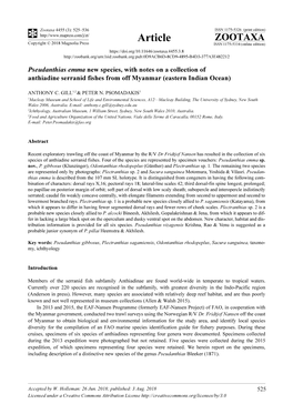 Pseudanthias Emma New Species, with Notes on a Collection of Anthiadine Serranid Fishes from Off Myanmar (Eastern Indian Ocean)