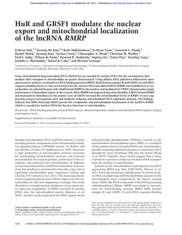 Hur and GRSF1 Modulate the Nuclear Export and Mitochondrial Localization of the Lncrna RMRP