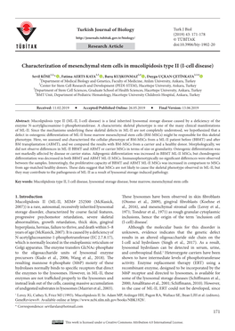 Characterization of Mesenchymal Stem Cells in Mucolipidosis Type II (I-Cell Disease)