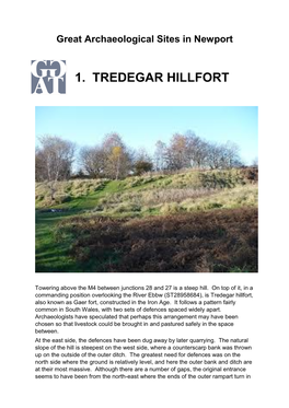 Tredegar Hillfort