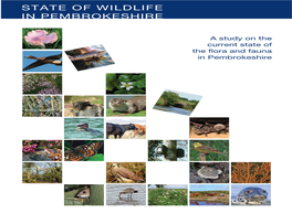 Wildlife Report:Layout 1.Qxd