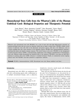 Mesenchymal Stem Cells from the Wharton's Jelly of the Human
