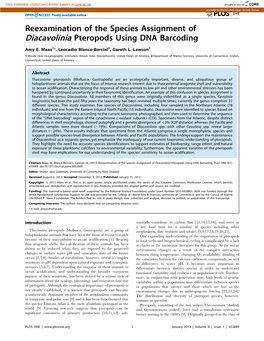 Reexamination of the Species Assignment of Diacavolinia Pteropods Using DNA Barcoding