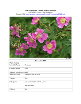 Rosa Pisocarpa ESRM 412 – Native Plant Production Protocol URL