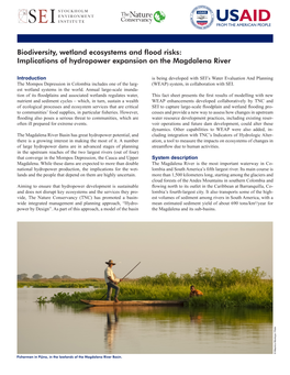 Biodiversity, Wetland Ecosystems and Flood Risks: Implications of Hydropower Expansion on the Magdalena River